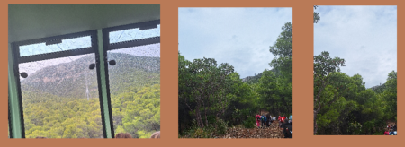 Εκπαιδευτική επίσκεψη Δ και Ε τάξης